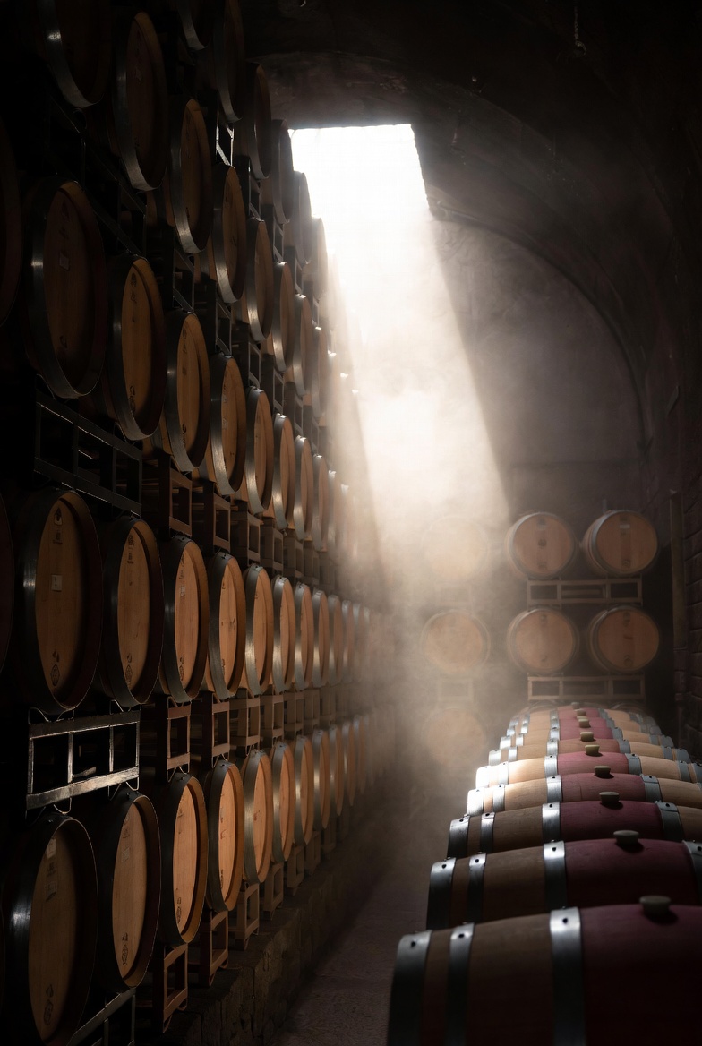 Sala de crianza con barricas de roble para vino Ribera del Duero Crianza en bodega.
