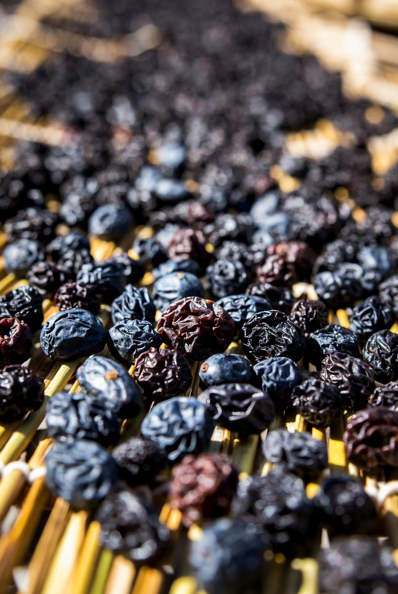 Uvas Pedro Xim&eacute;nez pasific&aacute;ndose al sol (asoleo) sobre esteras de junco